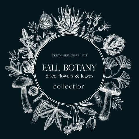 Autumn wreath with fall leaves and dried flowers. Thanksgiving banner design. Card or invitation on chalkboard. Sketched dried herbs, falling leaves, mushrooms, seeds. Black and white illustration.